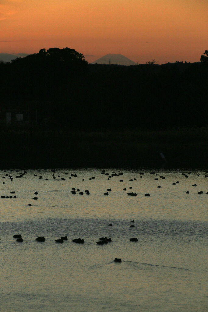 The lake and beyond